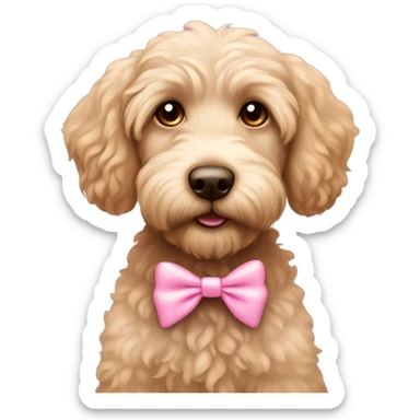 Mini Labradoodle with brown eyes cute pink bow sticker