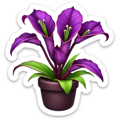 Purple Saracenia  sticker