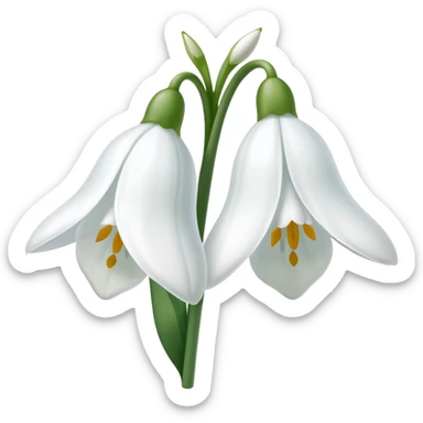 snowdrop flower sticker