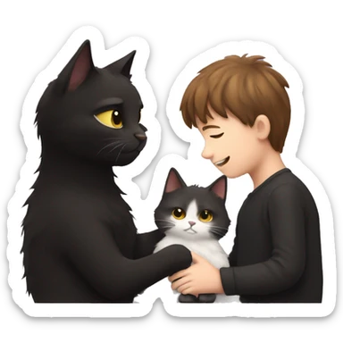 Fluffy Black cat being cuddled by brown haired boy sticker
