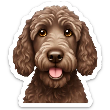 Chocolate labradoodle sticker