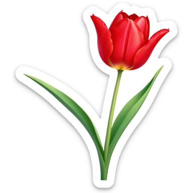 ​Cinematic Realistic Tulip, depicted as a single, exquisitely detailed bloom with vibrant red petals and a delicate stem, softly illuminated by natural light that highlights its graceful beauty and elegant form, sticker