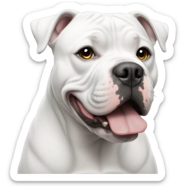 american bully white with grey sticker