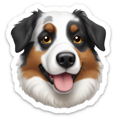 Tri colored Australian shepherd with black eyes sticker