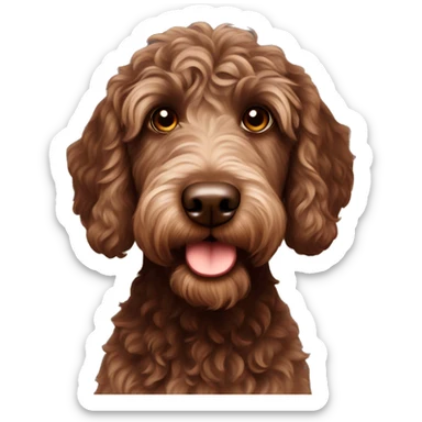 Chocolate brown labradoodle sticker