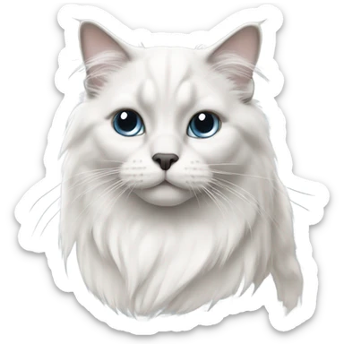 White Ragdoll cat with grey ears and nose sticker