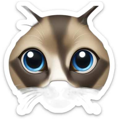 Khaki brown and black siamese Cat with blue eyes and white chin and white paws sticker