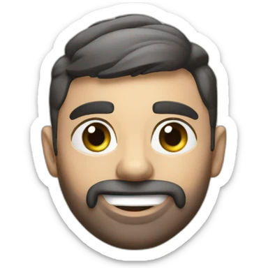 2017 elantra sticker