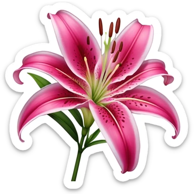 single Deep Pink Oriental Lily with White Edge, straight stem sticker