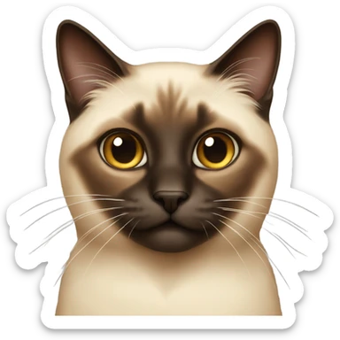 Siamese brown long hair cat  sticker