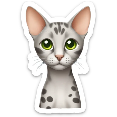 Short-haired oriental cat ,full body , grey coat with spots , green eyes , terracotta nuzzle sticker