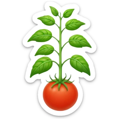 realistic tomato seedling sticker