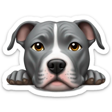 Gray Pitbull laying sticker
