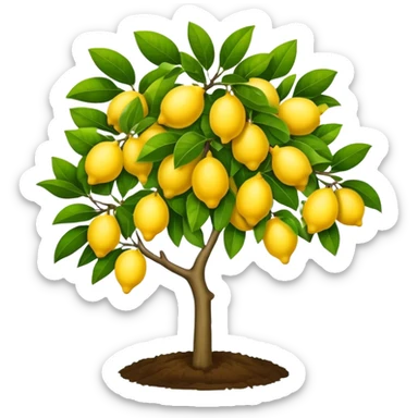 Lemon tree sticker