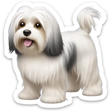 havanese dog walk with long hair all the way down to the feet sticker