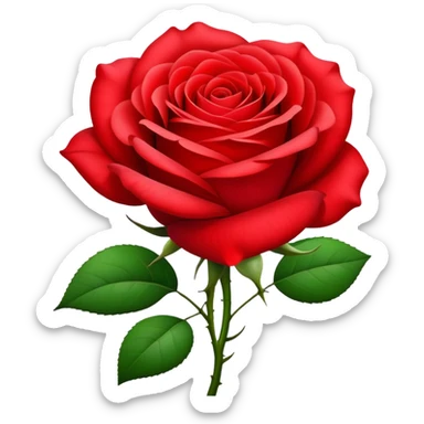 Beautiful red rose flower with lush petals and green leaves sticker