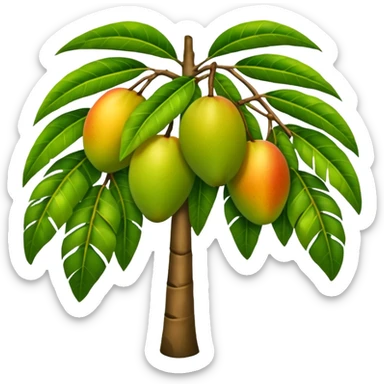 Mango tree, very less mangos, big and heavy leafs, more leafs. sticker