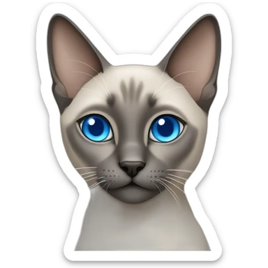 grey siamese cat with blue squint eyes sticker
