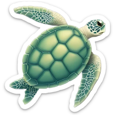 Sea turtle  sticker