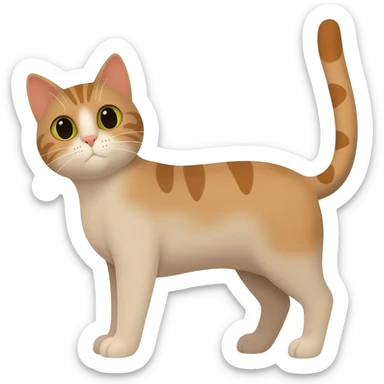 Котика sticker