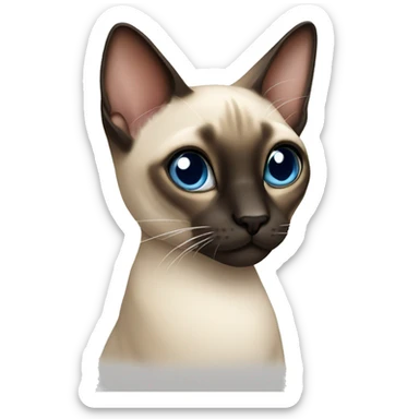 Siamese cat sticker