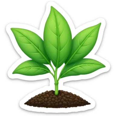 young shoot emerging from its seed sticker