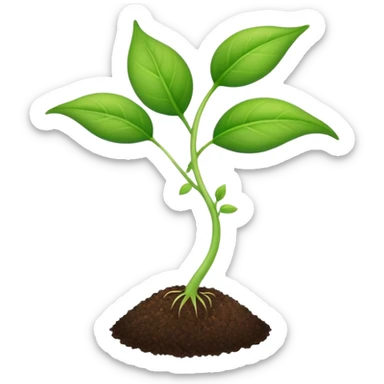 young shoot emerging from its seed sticker