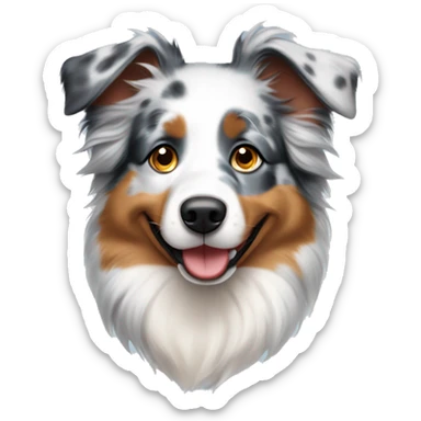 Australian shepherd mini blue Merle dog   sticker