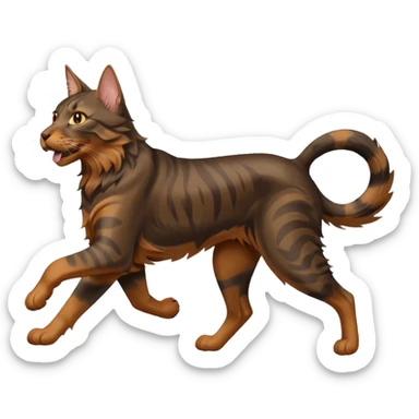 Maine Coon runs after Doberman sticker