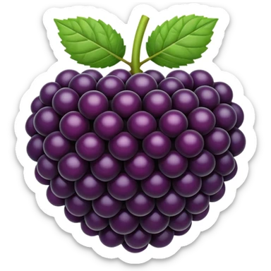 blackberry sticker