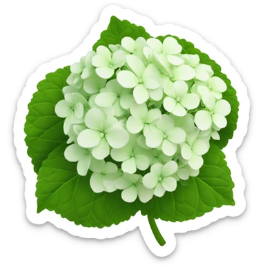 hydrangea sticker