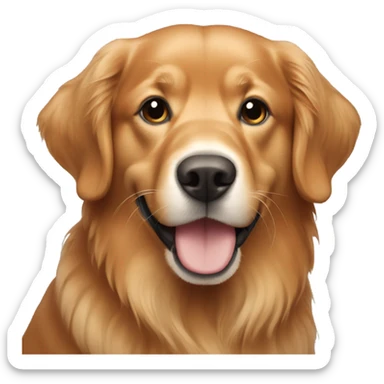 red golden retriever with grey snout sticker