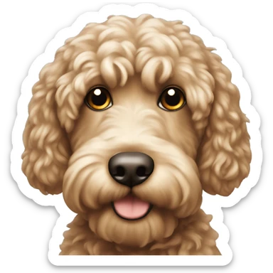 cockapoo  sticker