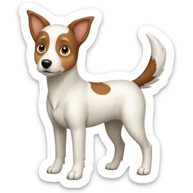 a full body large white floppy eared parson russell looking dog the size of a kelpie with light brown ears and a light brown patch on one eye and a large snout sticker