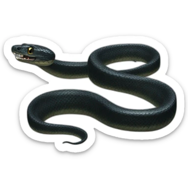 black-big-snake sticker