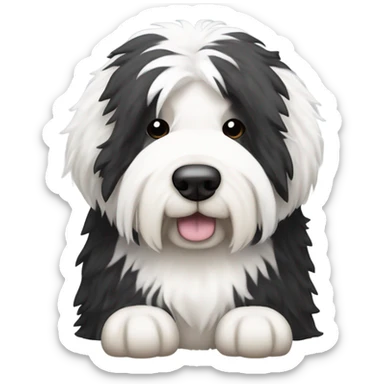Old English sheepdog with a half and half face like a black (right side) and white (left side) cookie sticker