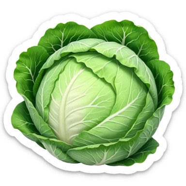 whole round cabbage with smooth, tightly packed pale green to white leaves forming a firm, spherical head, outer layers show gentle veining and slight natural gloss, soft lighting, subtle shadows, emoji scale sticker
