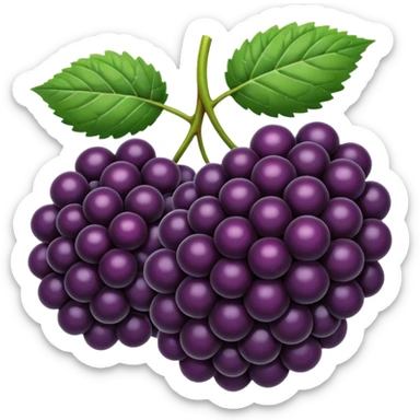 blackberryies sticker