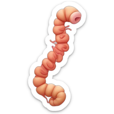 Human gastrointestinal tract, more pretty  sticker