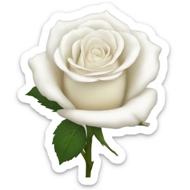 White rose sticker