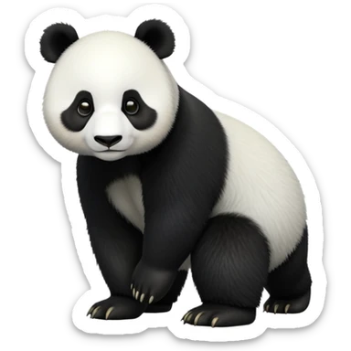 cinematic-[panda bear]-realistic-full-body-standing on all fours-emoji,-tail-tucked-close,-head-tilted-dramatically,-thick-[black and white]-fur,-simplified-yet-realistic-focused-features,-highly-detailed,-glowing-with-an-almost-sarcastic-glow sticker