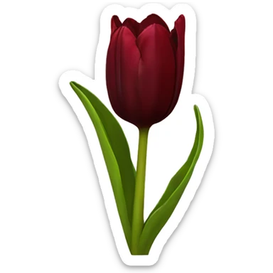 Dark red tulip sticker