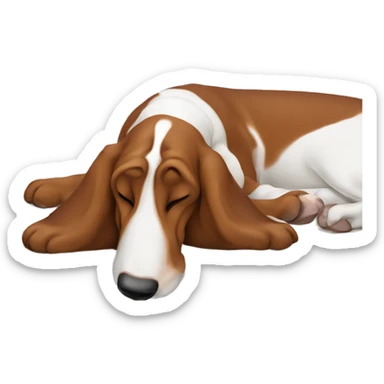 Basset hound sleeping on a mattress sticker