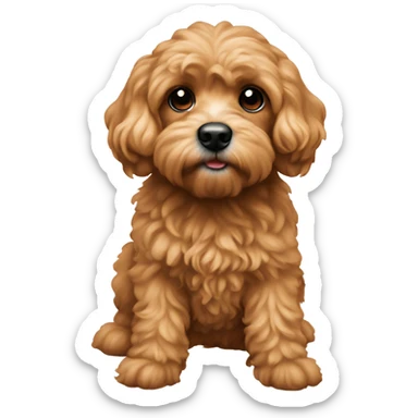 Cavapoochon sticker