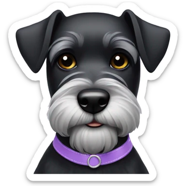 black miniature schnauzer with lilac collar sticker