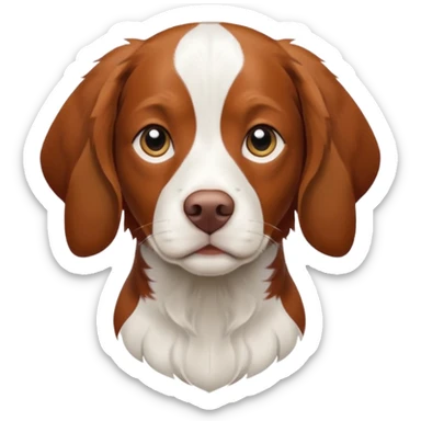 Un chien de chasse, elagneul breton aussis. . sticker