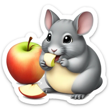 Chinchilla eating sliced Apple  sticker