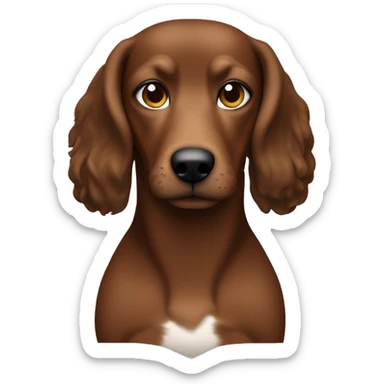 Mujer pelo negro, ojos marrones, blanca (bronceado) con un teckel macho negro con ojos marrones y manchas marrones en todo el cuerpo  sticker