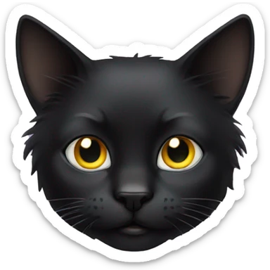 black cat, long hair, squinty eye sticker