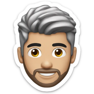 Zayn malik singer sticker